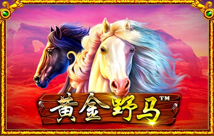 千锦娱乐app下载